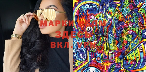 apvp Алзамай