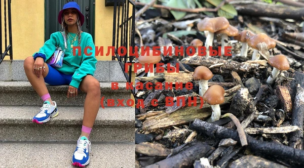 винт Алексеевка
