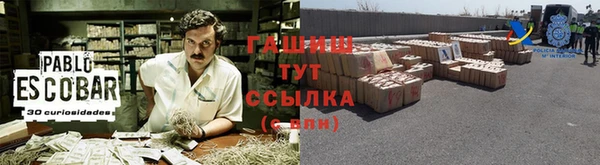 apvp Алзамай